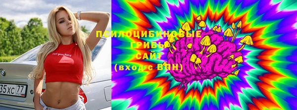 хмурый Кущёвская